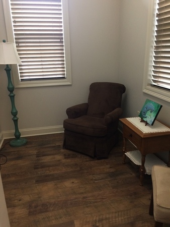 Our New Baby Nursing/Wellness Room